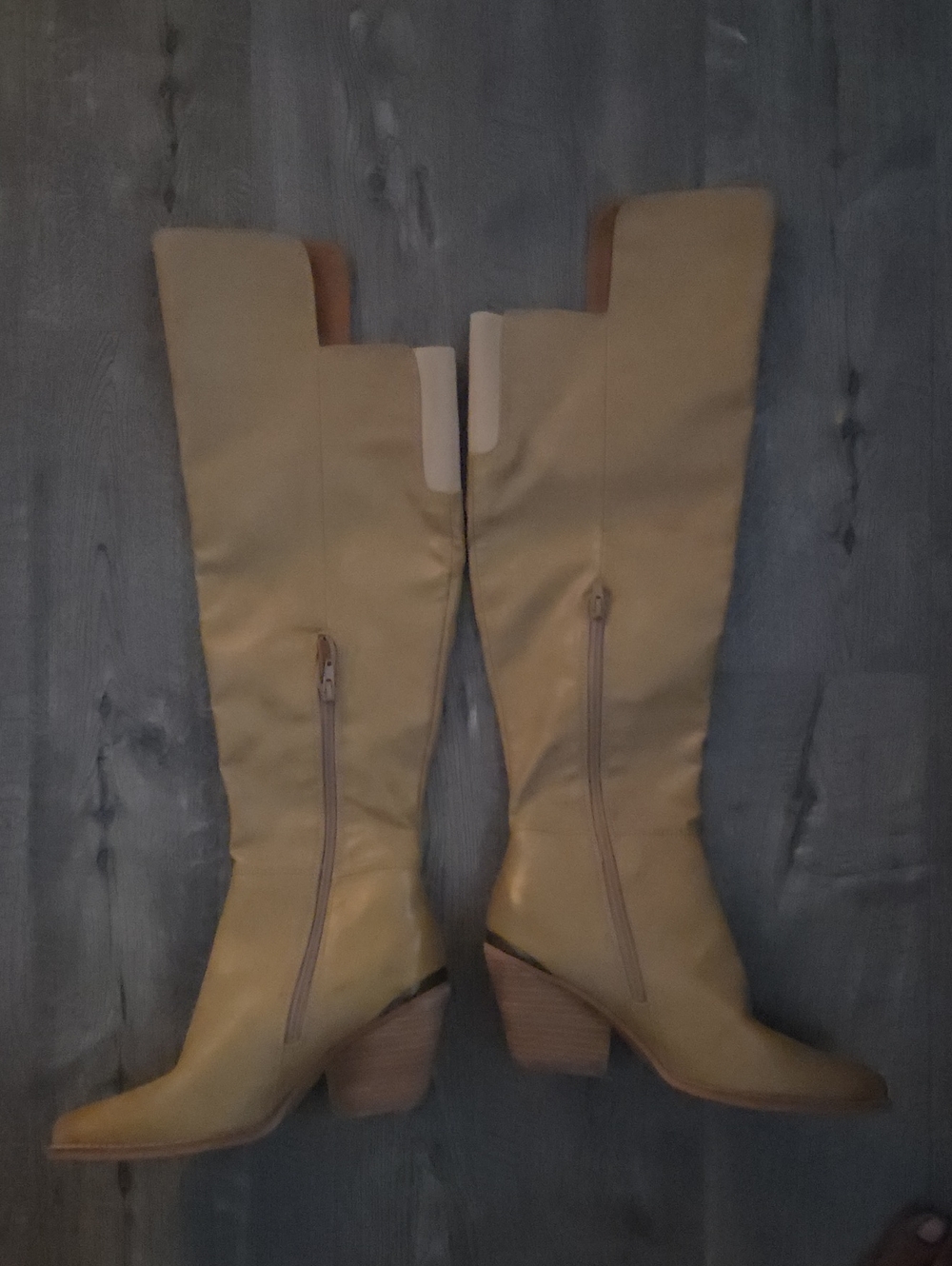 Zodiac Over-The-Knee Boots in Tan